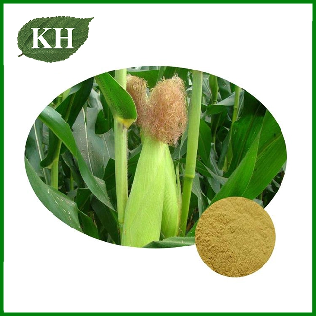 Corn Stigma Extract Corn Stigma Extract